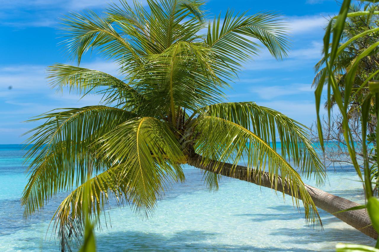 Dhiguveli Maldives Hotel Dhigurah  Eksteriør billede